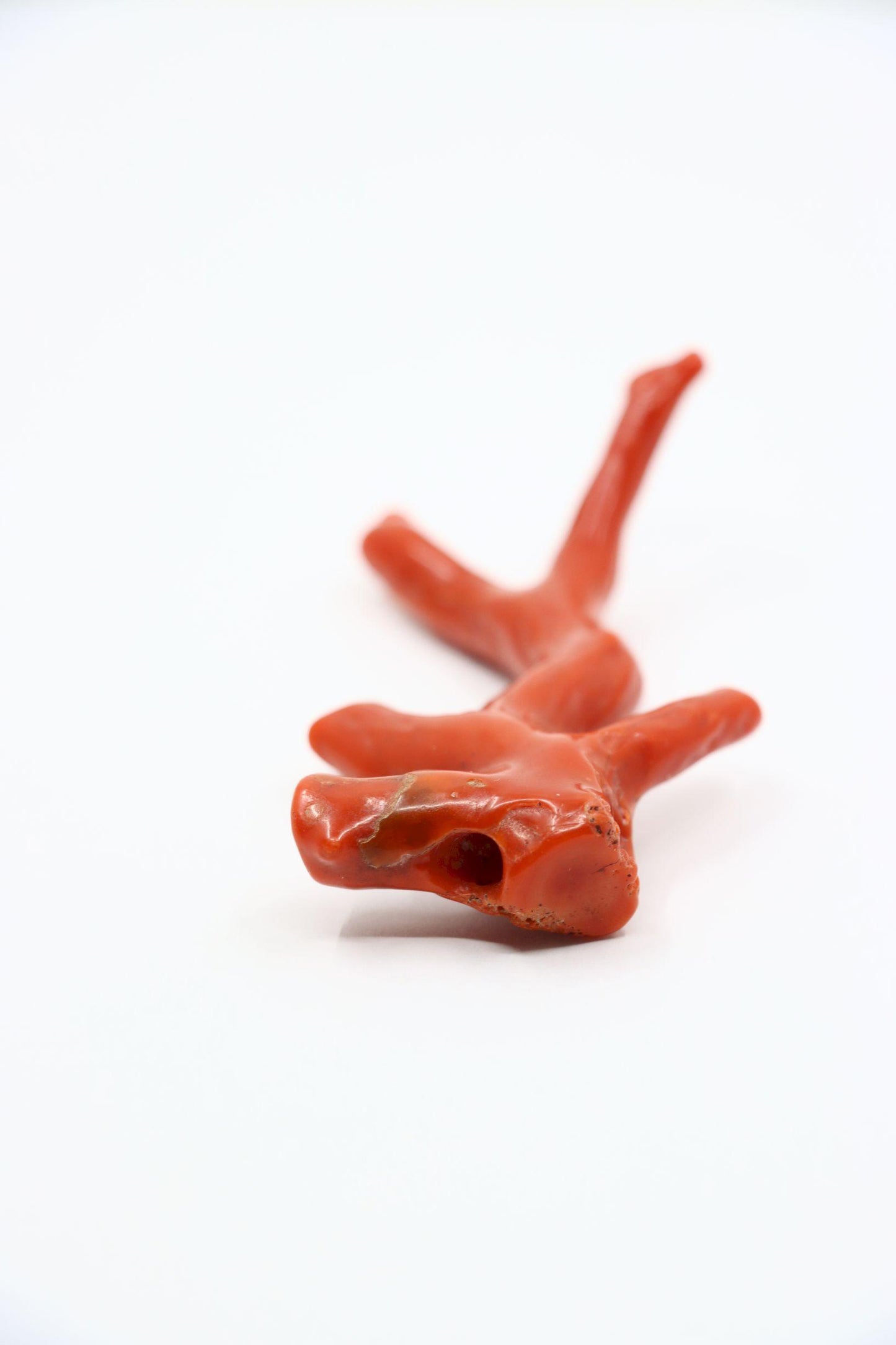 Natural Red Coral Branch Pendant