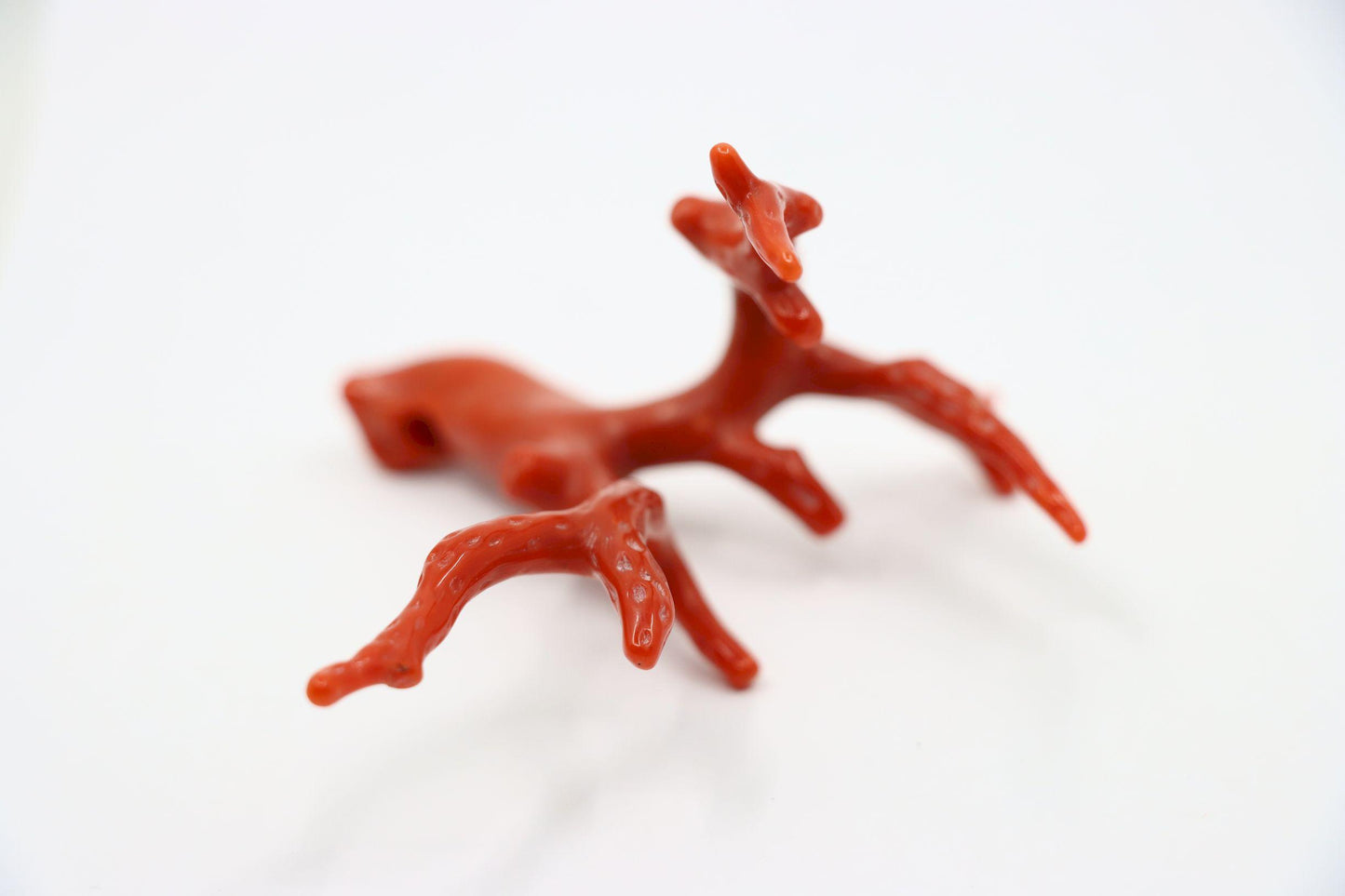 Natural Red Coral Muti Branch Pendant