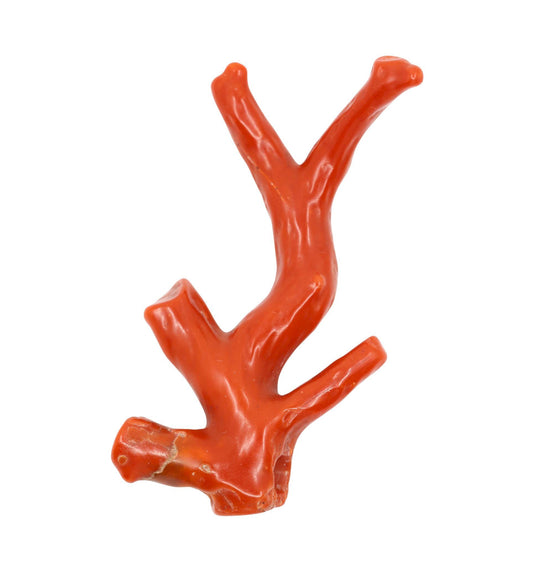 Natural Red Coral Branch Pendant