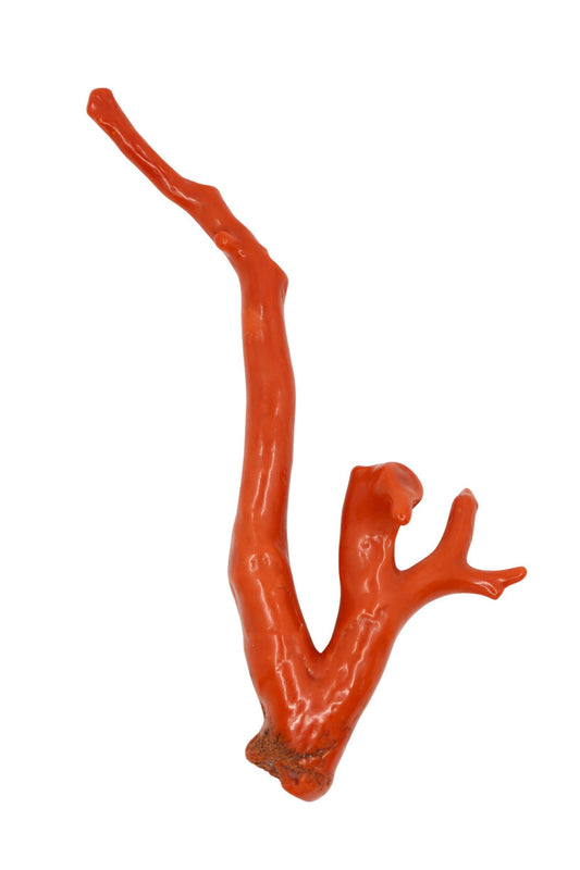 Large Natural Red Coral Branch  Pendant