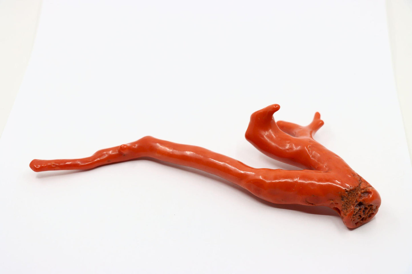 Large Natural Red Coral Branch  Pendant