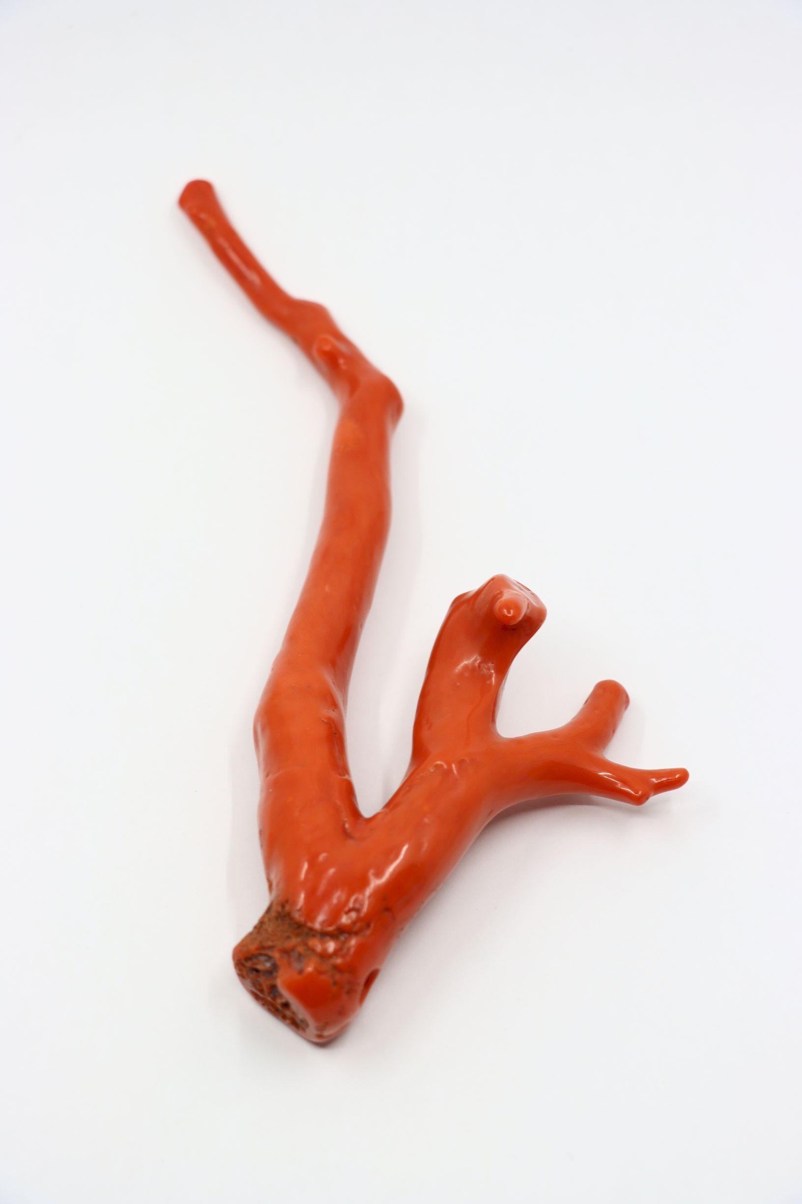 Large Natural Red Coral Branch  Pendant