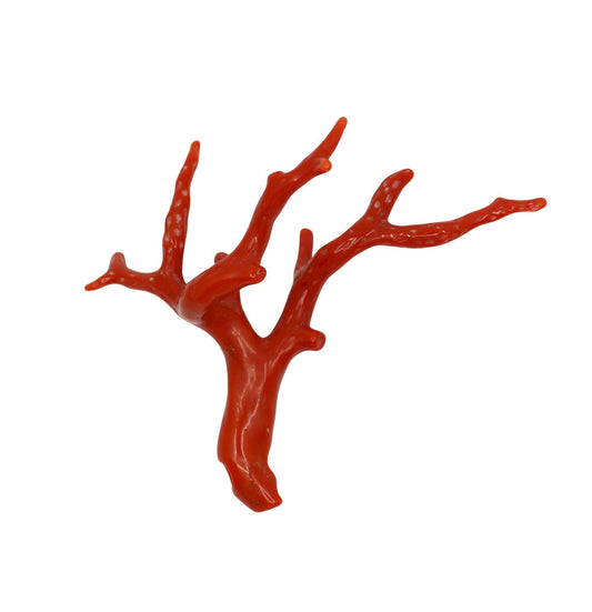 Natural Red Coral Muti Branch Pendant